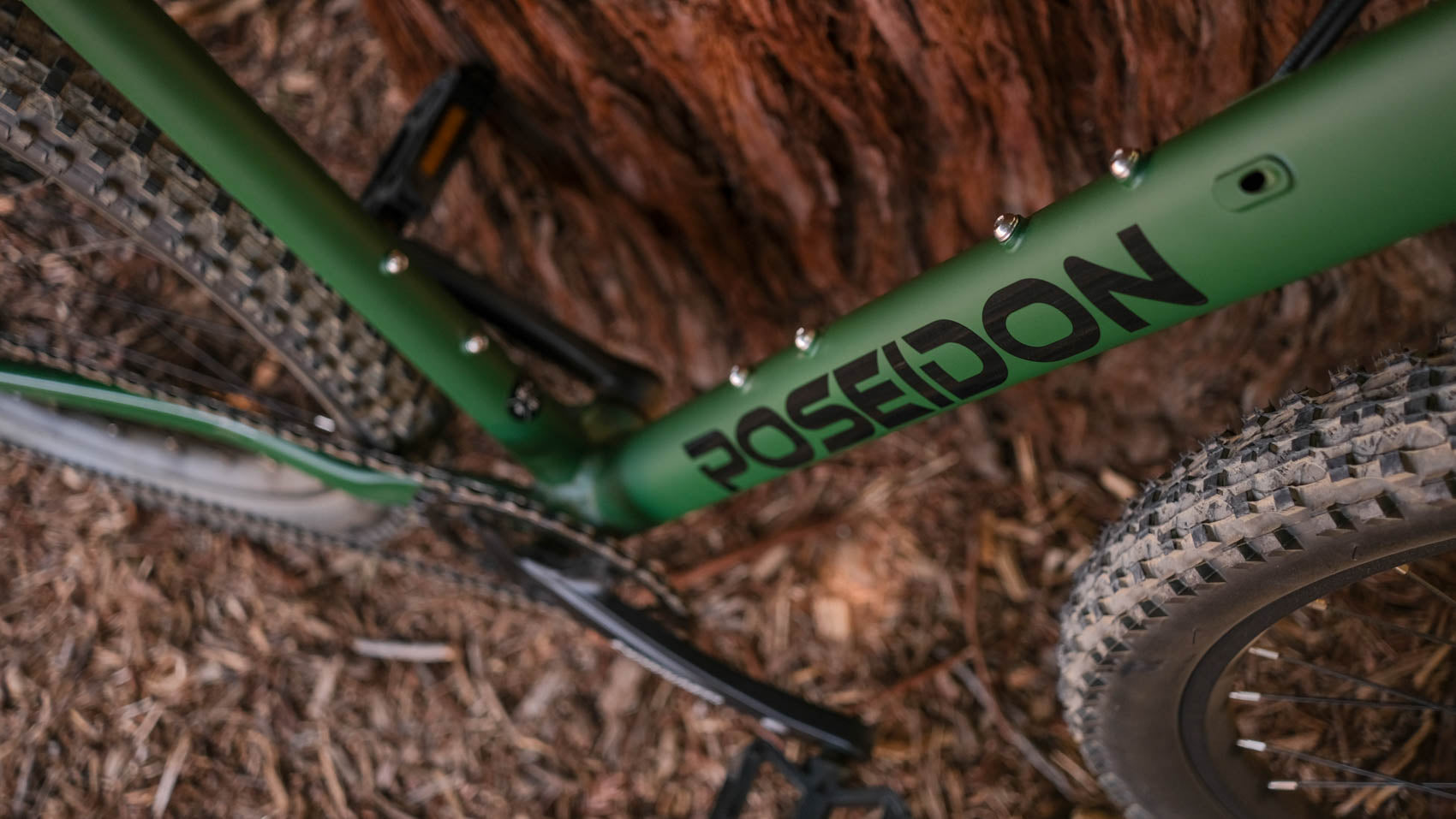 Poseidon bike online frame